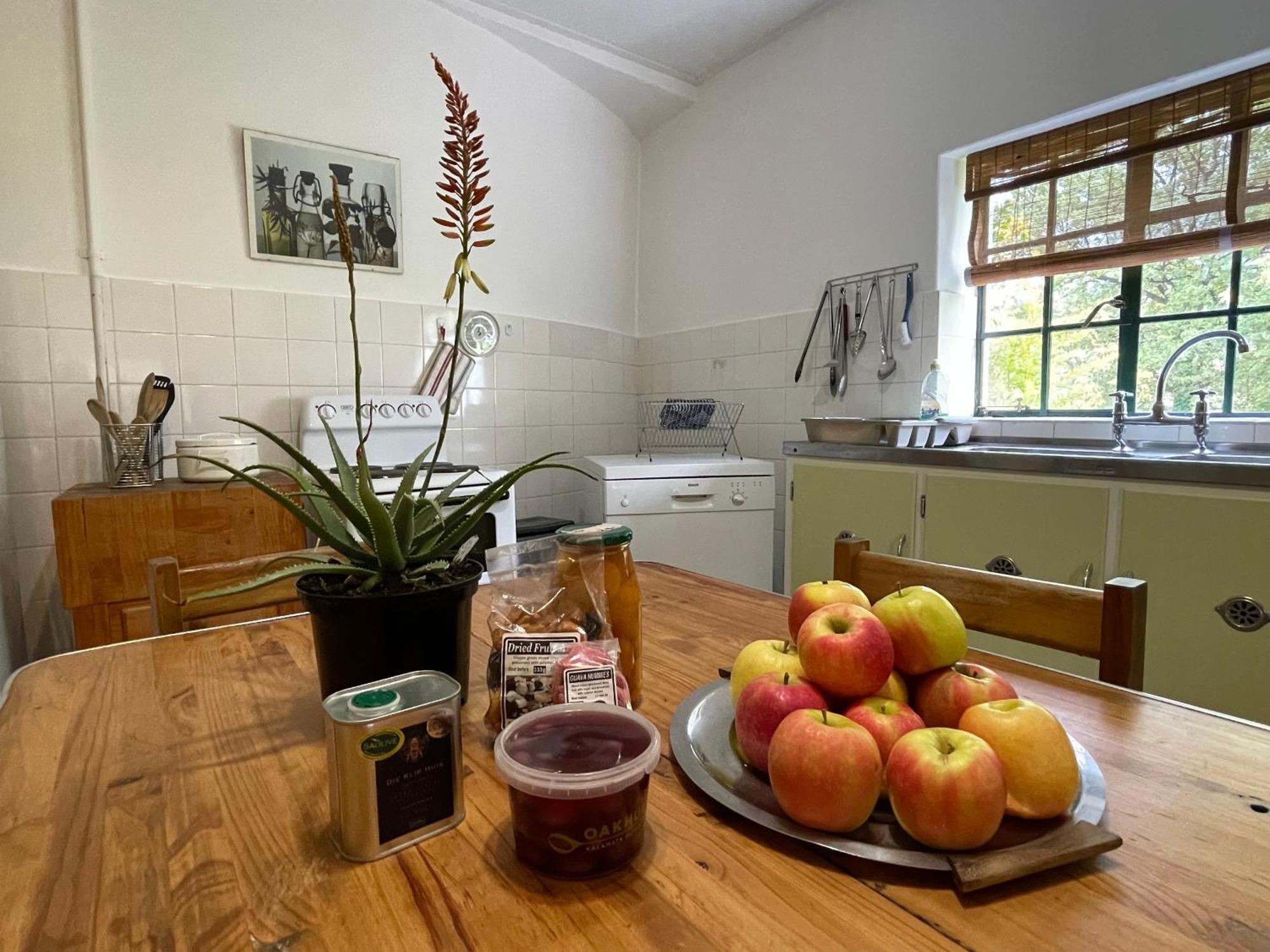 Fisaasbos Villa Tulbagh Room photo